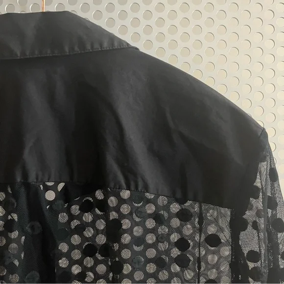 Lord & Taylor Sheer, Button-down, Collared Blouse Size XL Free with Purchase - Picture 7 of 10